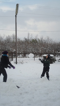 8 grudnia wszystkich mieszkańców Dvabzu zaskoczyła wyjątkowa sroga jak na tutejszy klimat zima. Sparaliżowało to ruch w mieście, wyłączono prąd, a dzieci nie poszły do szkoły.