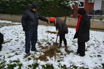 Śnieg w tej części Europy pod koniec listopada był niemałym zaskoczeniem nie tylko dla mnie, aczkolwiek nie zdołał on pokrzyżować obchodów „Dnia Drzewa” (dzień wolny od pracy w Macedonii!). Nowe sadzonki pojawiły się we wszystkich dzielnicach miasta. Uczu
