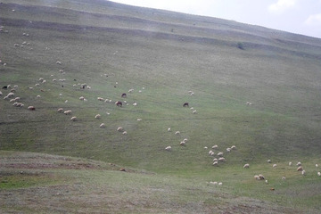 Gdzieniegdzie można zobaczyć wylegujących się na trawie pasterzy, którzy pilnują swych owiec. Tu czuć wolność!
