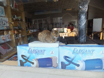 Wspominałam również, że w Skopje koty są wszechobecne. Ten znalazł swój dom w sklepie AGD na Starym Mieście. Na właścicielach wymusił nawet podkładkę do spania. A może to właściciele zwabili kota, aby zwrócić uwagę klienta na odkurzacz „Elegant”?