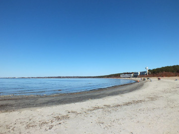 Plaża w miejscowości Pirita, do której można dojechać w 10 minut komunikacją miejską z Tallina.