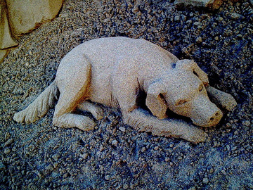 14. Psy to jeden z symboli Wysp Kanaryjskich. Można je zobaczyć na herbie wysp, logo tutejszego piwa, wyrzeźbione w piasku, na karnawałowym pokazie psich przebrań, na spacerze po okolicznych wioskach itd.